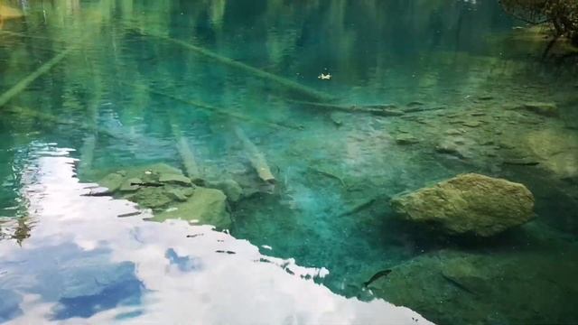 Самое красивое озеро Швейцарии Blausee. Посмотрите на этот нереальный цвет воды смотреть онлайн