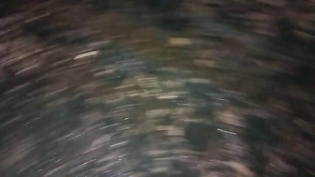 следы гигантского медведя смотреть онлайн