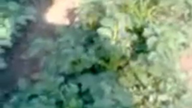 Картошка смотреть всем прикол 2012 часть 1 смотреть онлайн