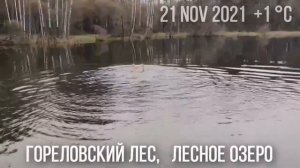 Горелово Торики Гореловское озеро Гореловский лес Аннино  Аннинское озеро шоссе