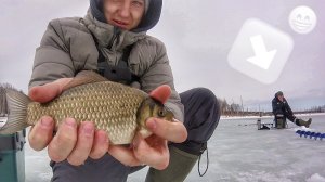 РЫБАЛКА НА КАРАСЯ ПО ПЕРВОМУ ЛЬДУ | первый опыт, как ловить !?