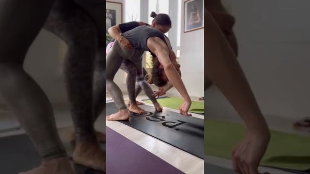 Родная школа Аштанга йоги в Екатеринбурге #йога #аштангайога #sashas_yoga смотреть онлайн