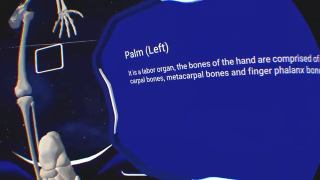 Human Anatomy VR смотреть онлайн
