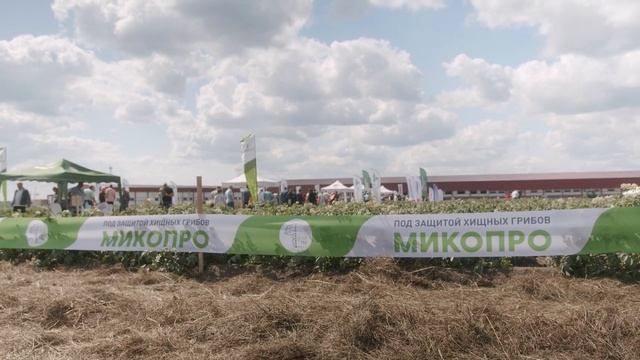 «Микопро» на Международном дне картофельного поля «Potato Russia – 2022» в Кемеровской области смотреть онлайн
