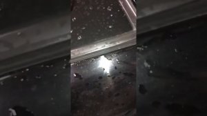 Сырость в багажнике солярис 1