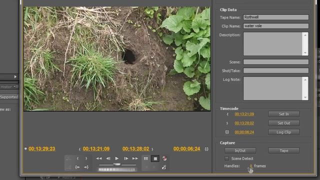 Premiere Pro: Capturing & Batch Capturing from miniDV tape смотреть онлайн