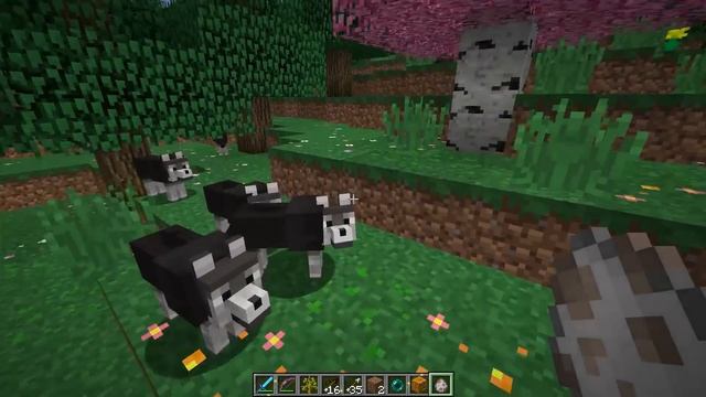 How To Change The Seasons In Minecraft!