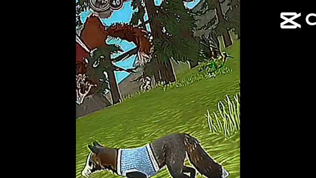Ashley look at me Wildcraft edit смотреть онлайн