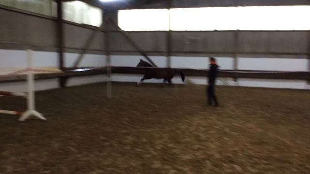 Emma P v. Espri x Wanderer x Garibaldi II смотреть онлайн