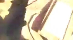 Заводская стрела пку-0,8,гавно.