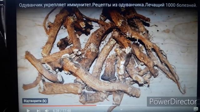 Одуванчика корень: напиток и сидерат. Здоровый заменитель кофе своими руками со своего поместья. смотреть онлайн