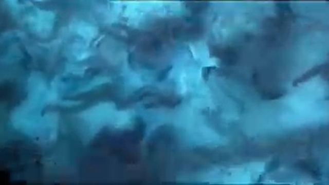 NightWish - Wishmaster смотреть онлайн
