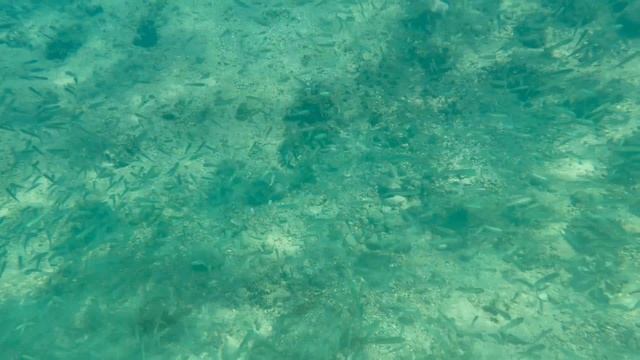 Théoule-sur-Mer 2022 смотреть онлайн