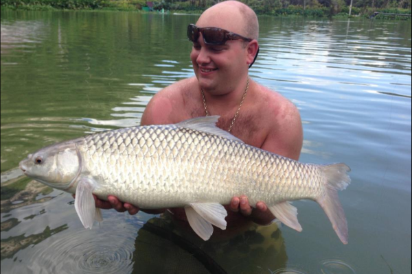 307.Трофеи 91.mp4 смотреть онлайн