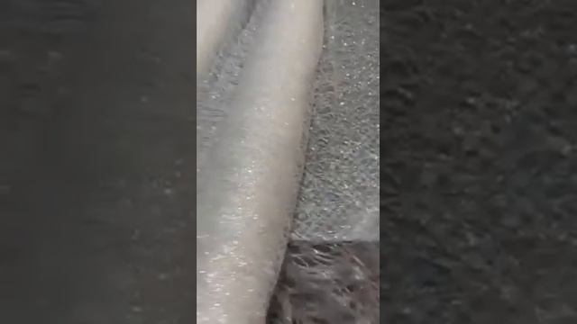 сетка с глиттером Акалифа (01324) смотреть онлайн