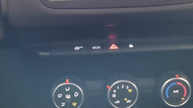 Aflevering Dacia Duster