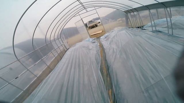 САМАЯ ВЫСОКООПЛАЧИВАЕМАЯ РАБОТА В КОРЕЕ 2020(ТЕПЛИЦЫ) 350 000 ВОН