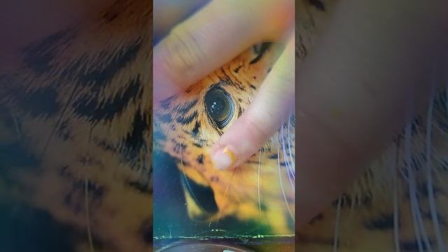 Лайфхак Как убрать лак без средства для ногтей смотреть онлайн