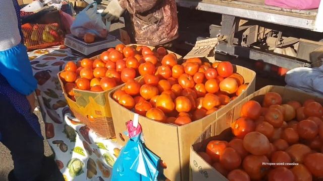 Ярмарка 2019. Уфа. Цены на продукты. смотреть онлайн