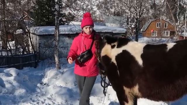 Обучение ЖЕРЕБЕНКА до 1 года // Мягкие Методы / Хардин смотреть онлайн