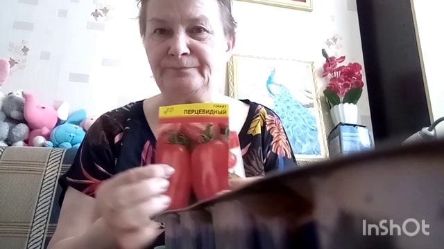 Подарки друг другу. Разбираю и сажу томатики. Ванюша помогает кормить курочек. смотреть онлайн