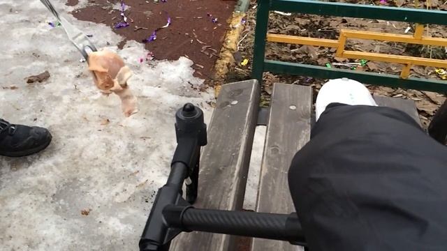 Что может быть если засунуть руку в работающий DJI Inspire 1 смотреть онлайн