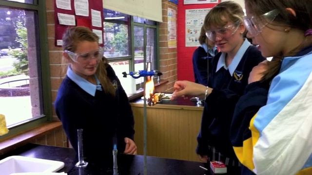 Year 8 Science Energy in food experiment 2010.mov смотреть онлайн