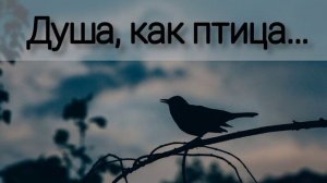 Душа, как птица, ищет хлеба - христианская песня