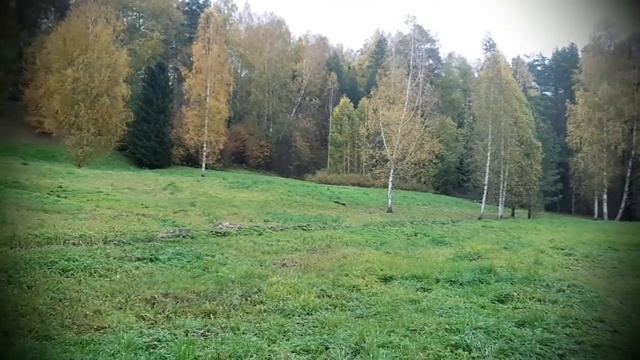 Сергей Есенин. Гой ты, Русь,моя родная... Андрей Гетман (художественное слово). смотреть онлайн