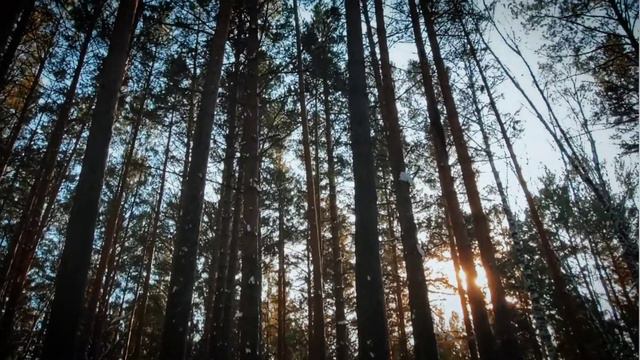 8 февраля 2021 г. смотреть онлайн