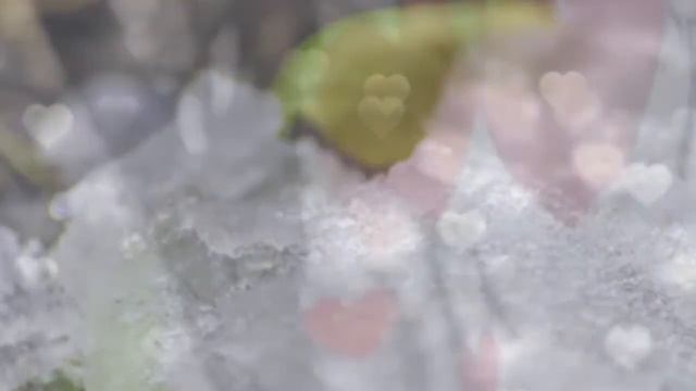 СЕГОДНЯ Я НЕМНОГО ВЛЮБЛЕНА. Стихи. Светлана Тарабыкина смотреть онлайн