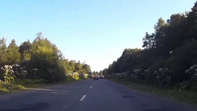Обгону помешал журавль смотреть онлайн