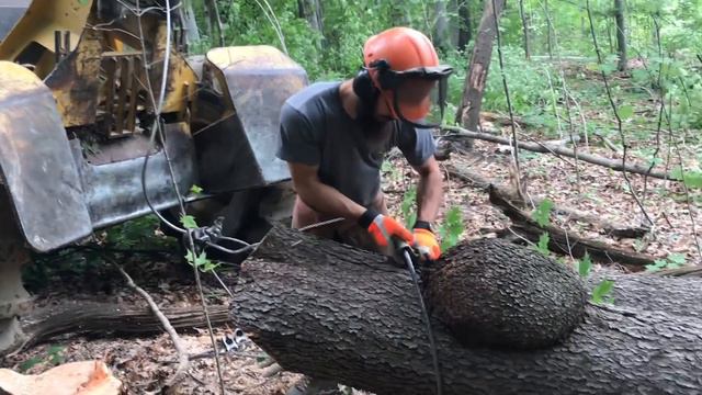 Harvesting Burls for Woodturning смотреть онлайн