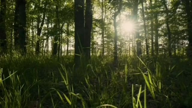 ОЧЕРЕДНОЕ ВРАНЬЁ И ХРЮЧЕВО ОТ УРАЛКИ. ОЛЬГА УРАЛОЧКА LIVE. смотреть онлайн