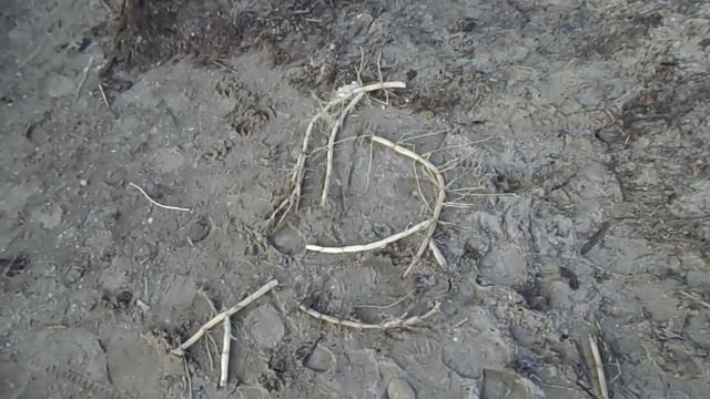 Анапа ПУШИСТИК! Центральный пляж в январе.Тепло.Пирс.Мост через Анапку. смотреть онлайн