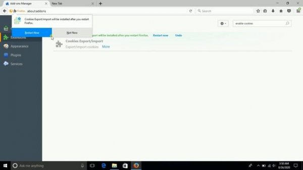 How to set cookies in browser | import and Export of cookies in browser Mozilla Firefox