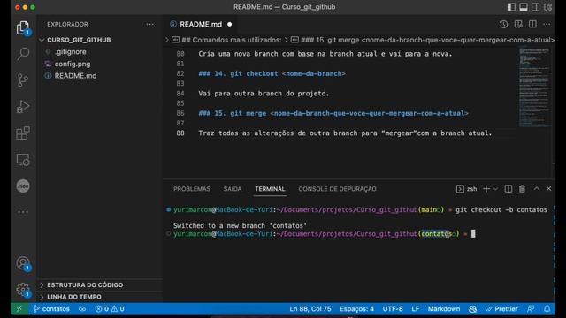 ?#5 Como criar branch, mudar de branch ou deletar - Curso de Git e GitHub смотреть онлайн