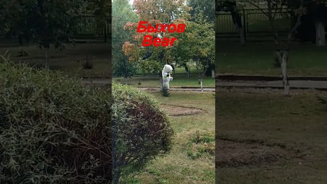 Медведь в Быхове bear смотреть онлайн
