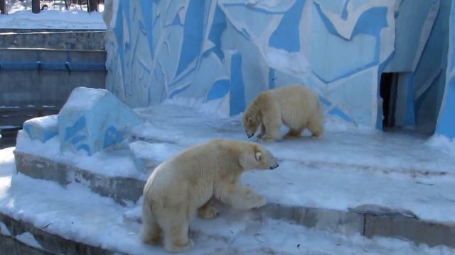 Кай и Герда вместе 21.03.17 смотреть онлайн