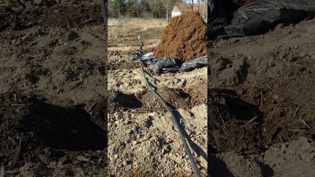 Начали поливать клубнику. смотреть онлайн