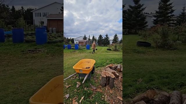 ?ВЛОГ?День со мной в Канадской деревне