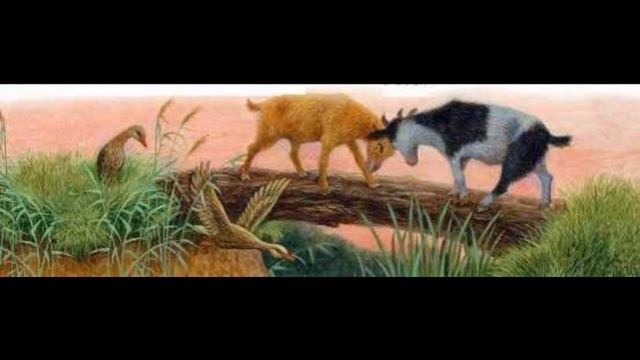 Два козлика Константин Ушинский читает Павел Беседин смотреть онлайн