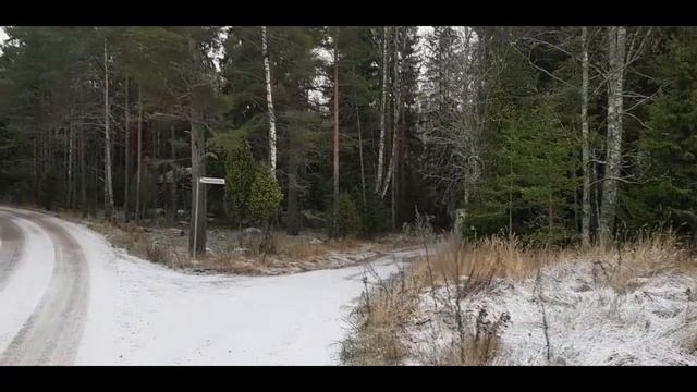 Jänisjahdissa osa 11 -2019 marraskuu. Rusakko/metsäjänis смотреть онлайн