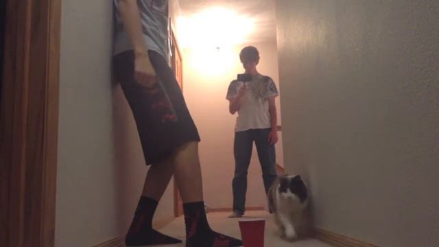 EPIC PING PONG TRICKSHOTS #2!! смотреть онлайн