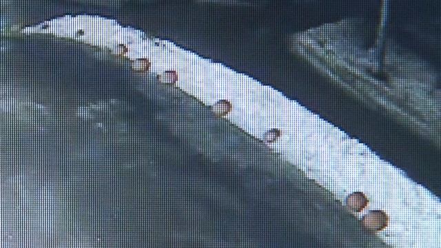 Грабеж в Петрозаводске смотреть онлайн