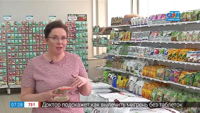 Садовые истории – подготовка почвы для пикировки рассады