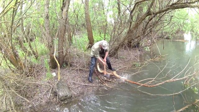 Реальная забота за угодьями !!!!! Или как не дать озеру утонуть в мусоре. смотреть онлайн