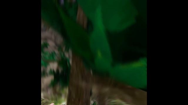 (fixed) The best gorilla tag Branching you'll ever see смотреть онлайн