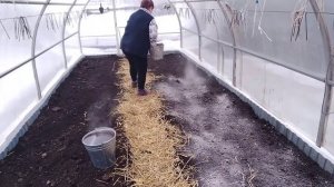 Дезинфекция грунта в теплице  весной