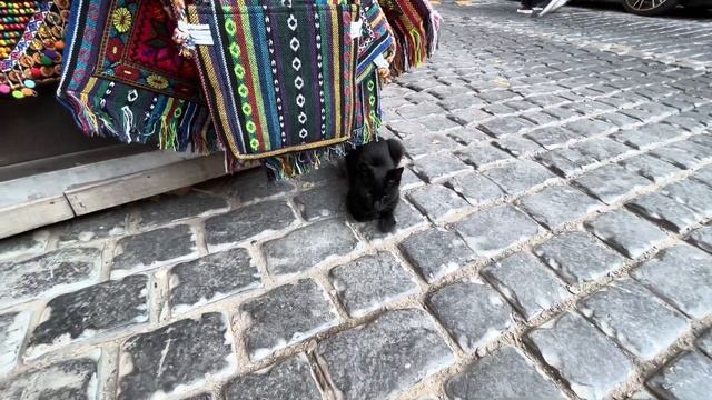 БАКУ.ЦЕНТР ГОРОДА.ИЧЕРИ ШЕХЕР.